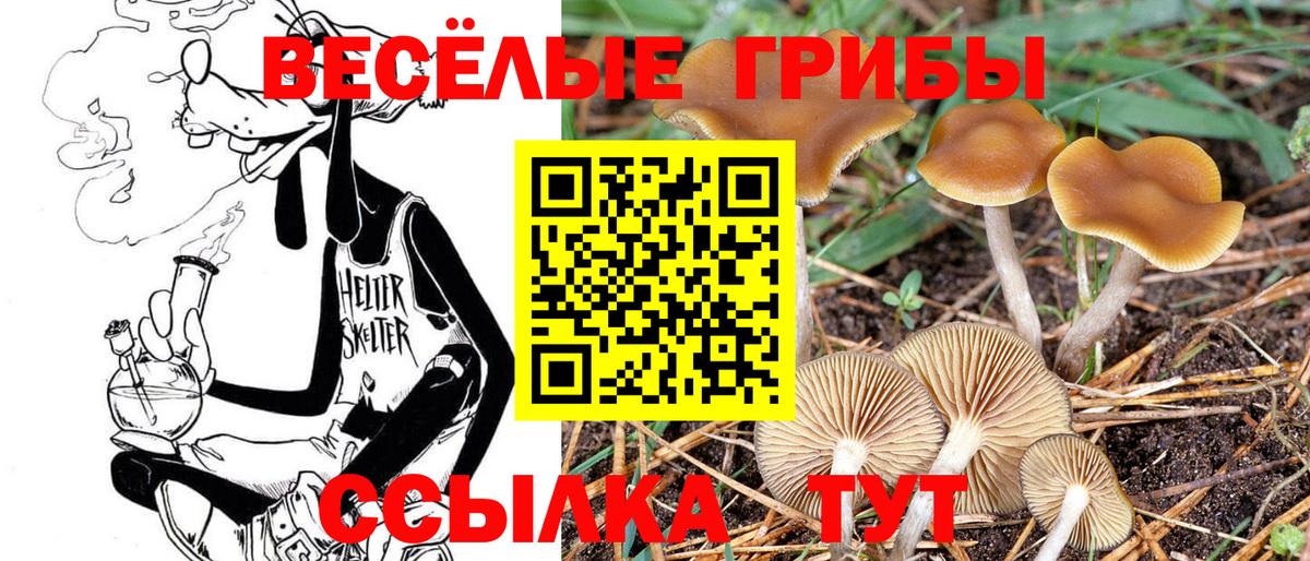 Псилоцибиновые грибы ЛСД  Вход с VPN  Учалы 